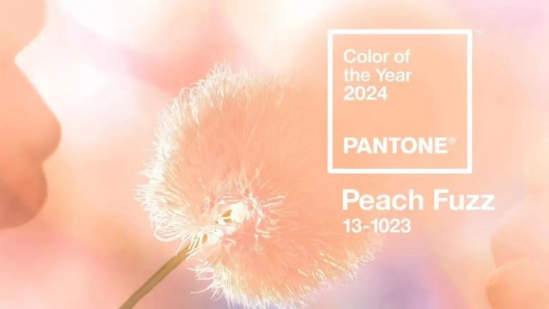 2024年Pantone年度色彩 - 如何才能开启潮流与口味的共鸣？
